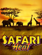 วิธีเล่น สม ครบาคาร า ufabet ที่มือใหม่ต้องรู้